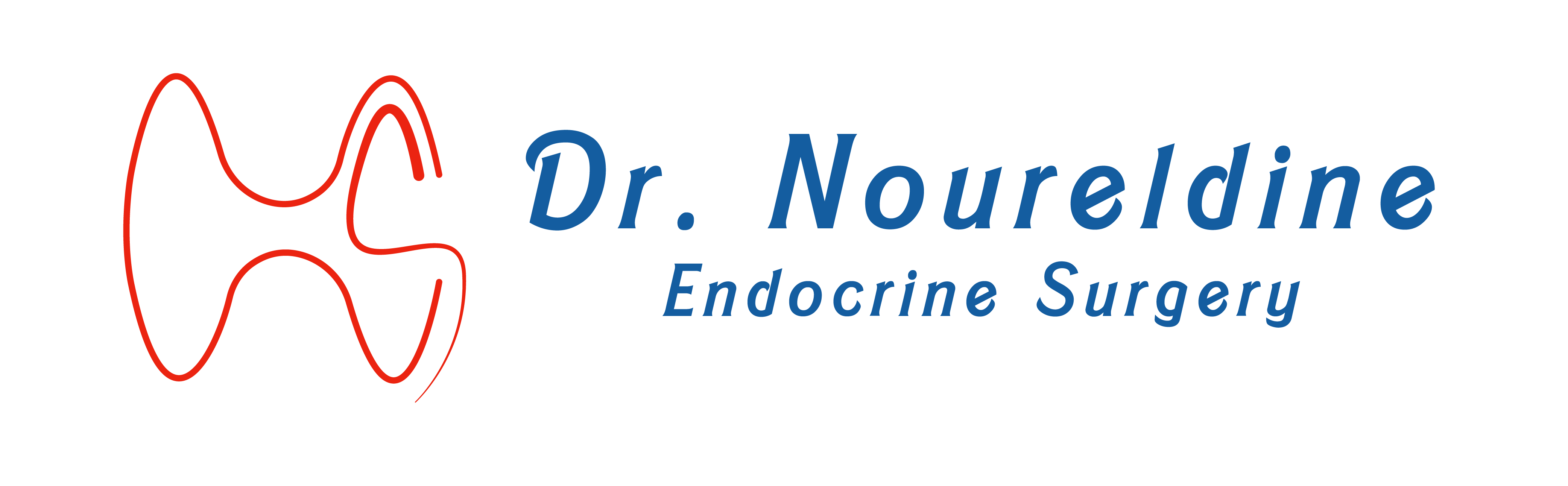 dr noureldine endocrine surgery 